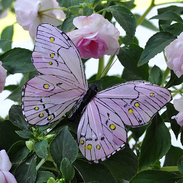 Butterfly Stick Oriental - Pink