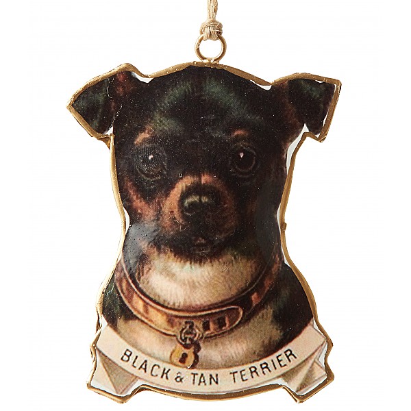 Dog Black & Tan Terrier BEATRIX