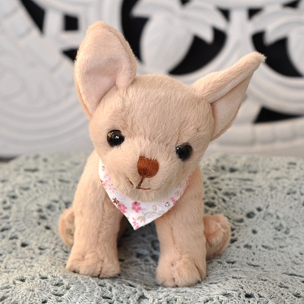 Hund Chihuahua Baby Dennis Bukowski Design Mixin Home