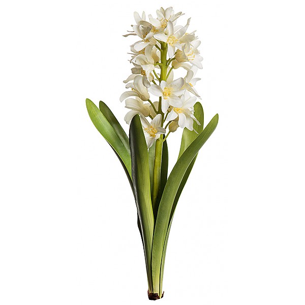 Hyacinth White - 32 cm