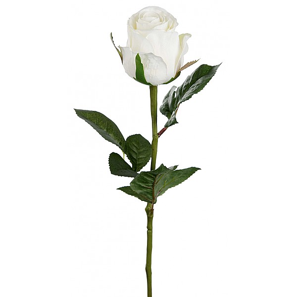 Rose 50 cm - White