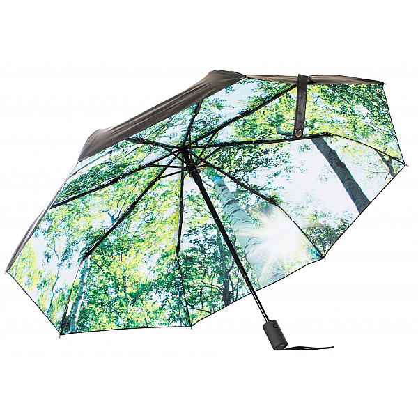 Umbrella Forest