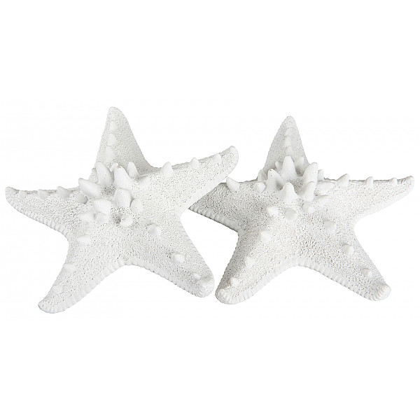 Starfish White - Large
