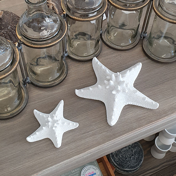 Starfish White - Small