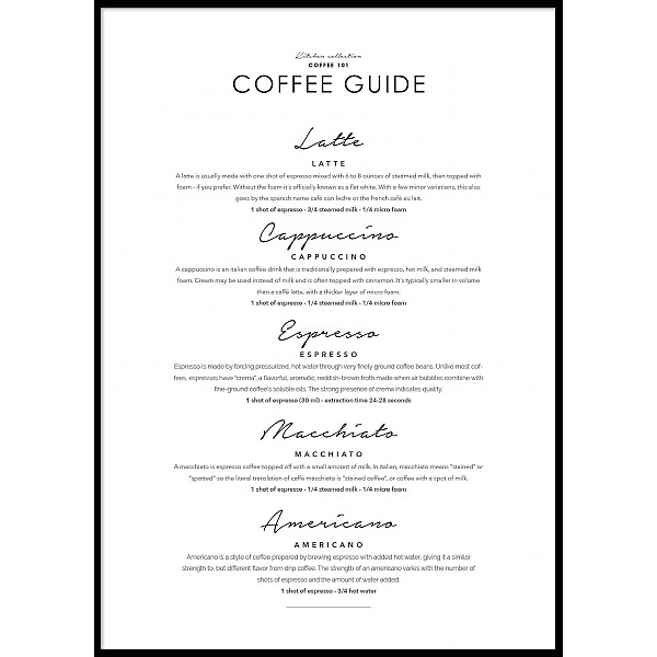 Poster Coffee Guide