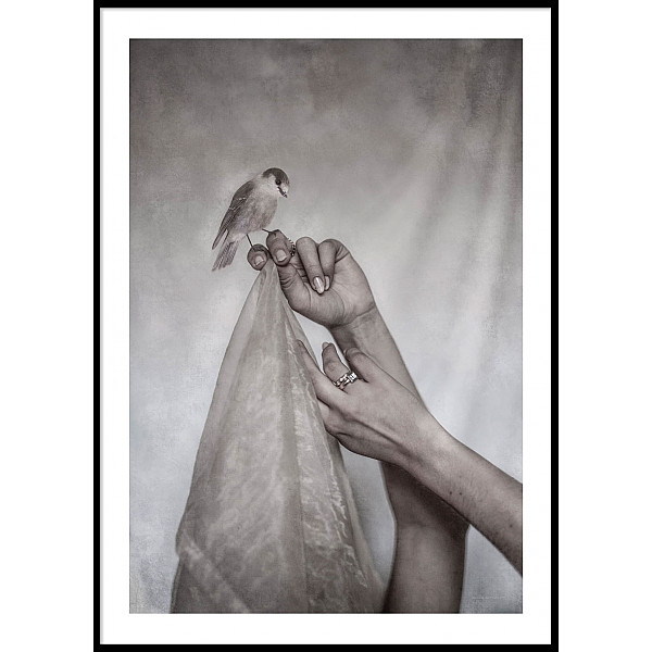 Poster Little Bird and hands