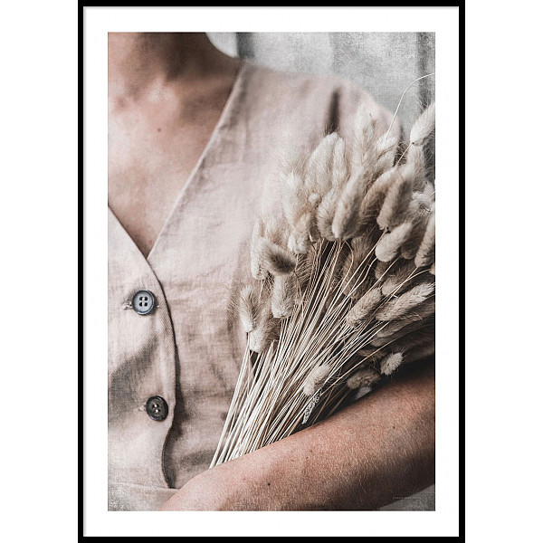 Poster Dried Bunny Tail Grass