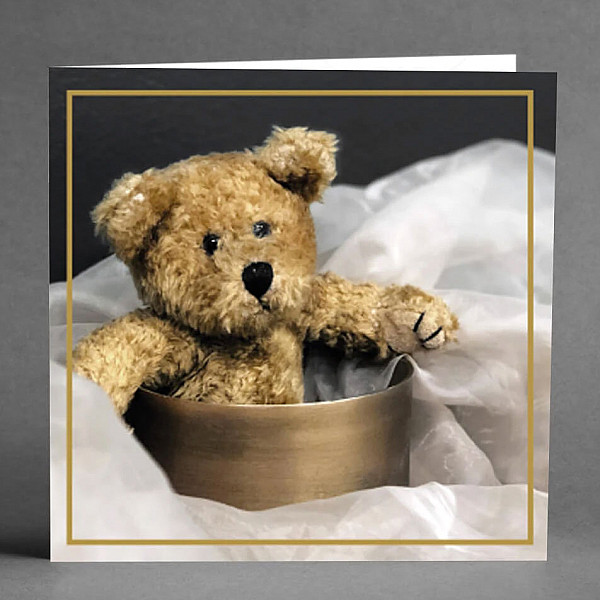 Card Teddy Bear