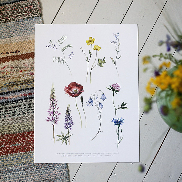 Poster Meadow Flowers - 21 x 30 cm