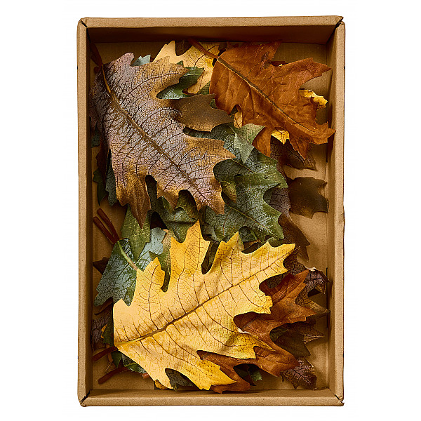 Leaves Mix in Box - Green / Orange / Yellow / Brown