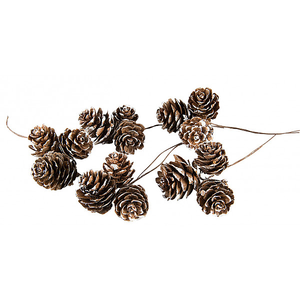Larch Cones on wire - Natural / White