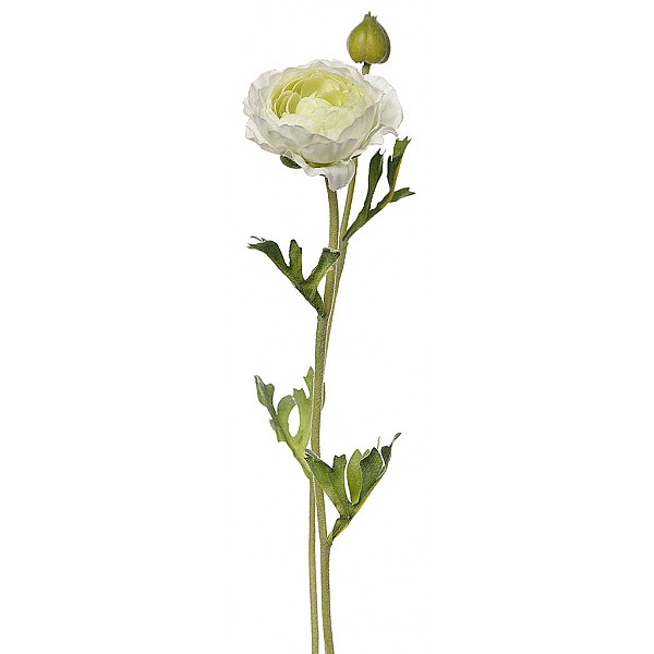 Ranunculus 36 cm - White