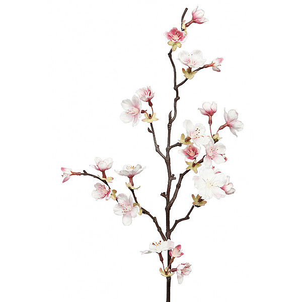 Cherry Blossoms 60 cm