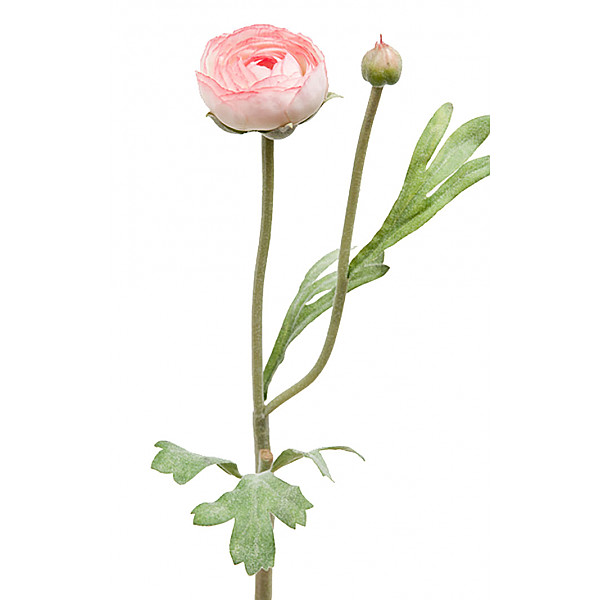 Ranunculus 34 cm - Pink