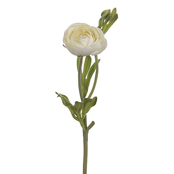Ranunculus 34 cm - White