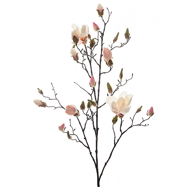 Magnolia 110 cm - Pink