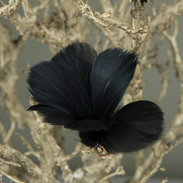 Easter Feathers / Feathers Flower Black - 12 pcs