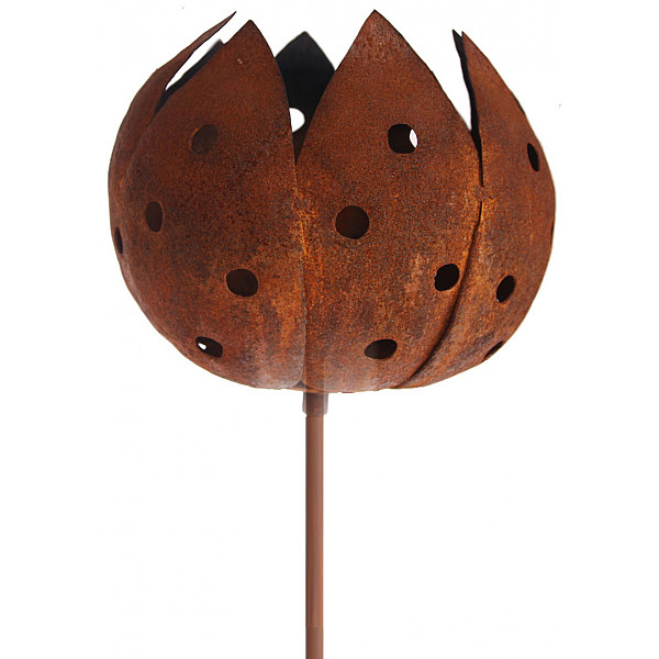 Marschallhållare Tulpan