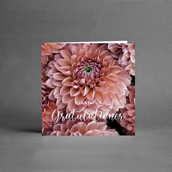 Litet Kort Hjärtliga Gratulationer