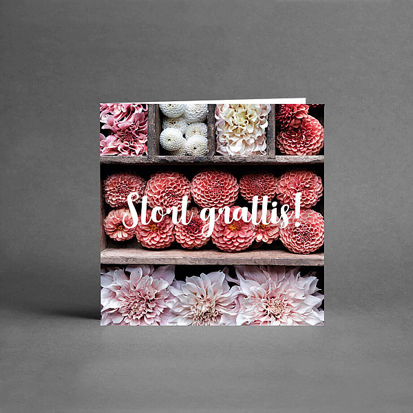 Litet Kort Stort Grattis