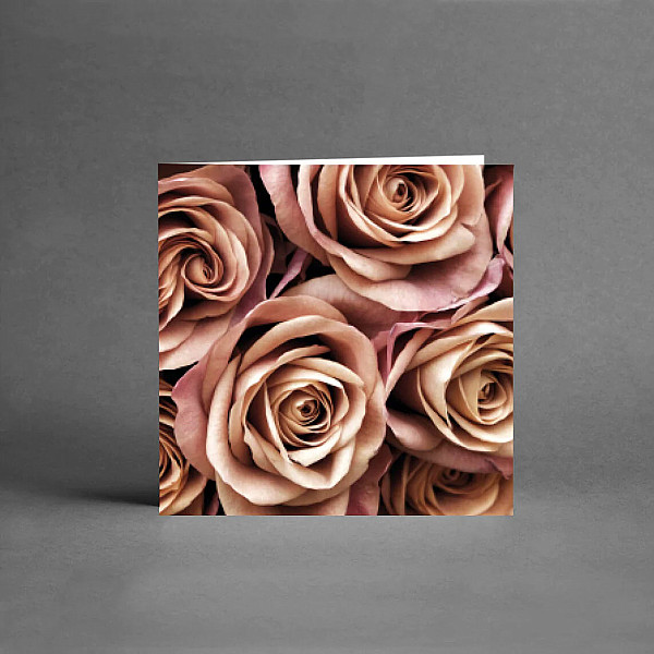 Litet Kort Orange Roses