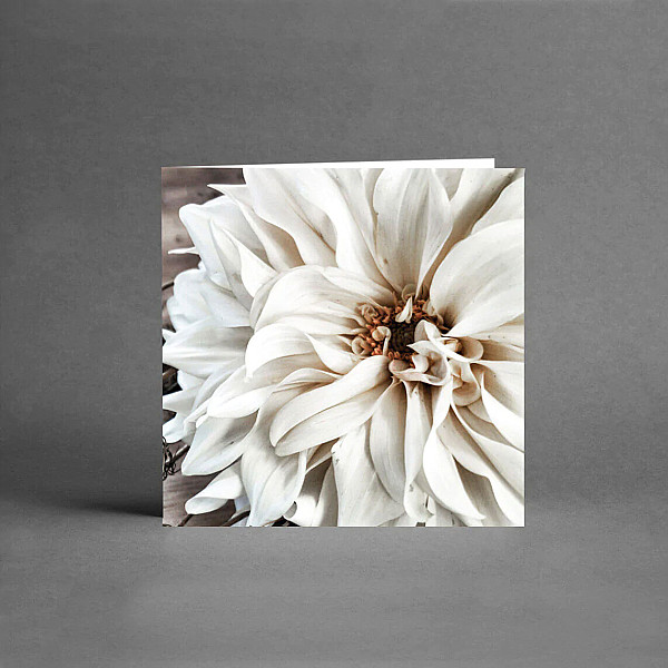 Litet Kort Big white flower
