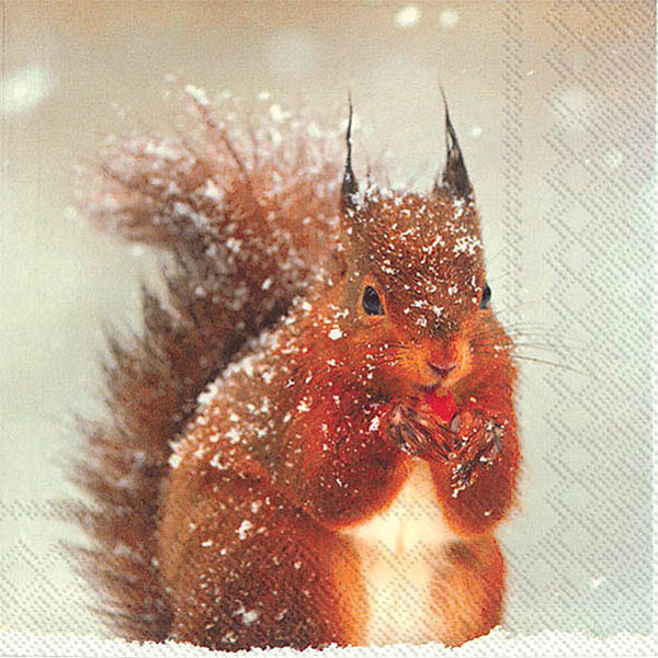 Napkins Winter Squirrel