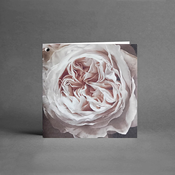 Litet Kort White Kalaharose