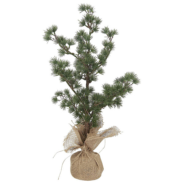 Cedar with jute stand