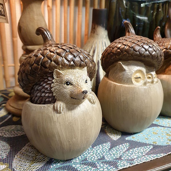 Ekollon Tittut Igelkott