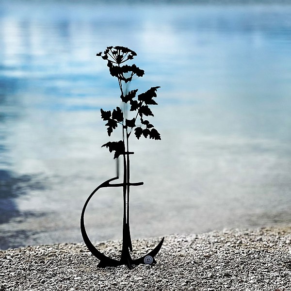 Kuh Petersilie Käxet