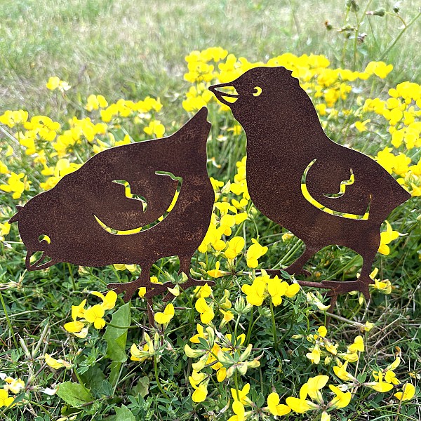 Kycklingarna Wille och Wilda