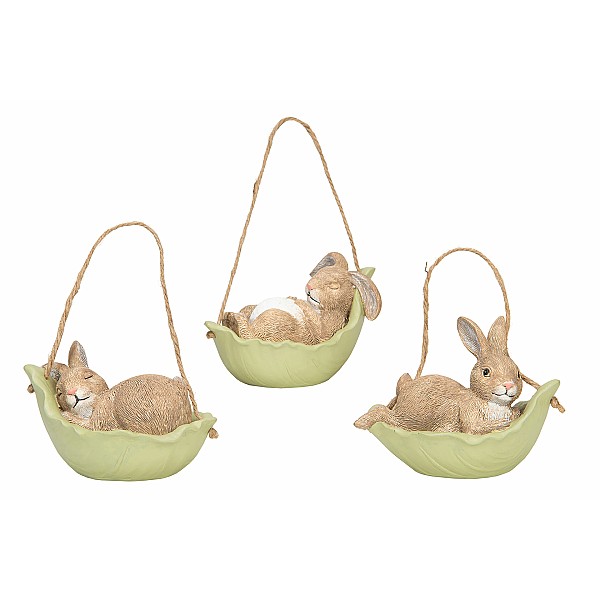 Rabbits in Cabbage Leaves