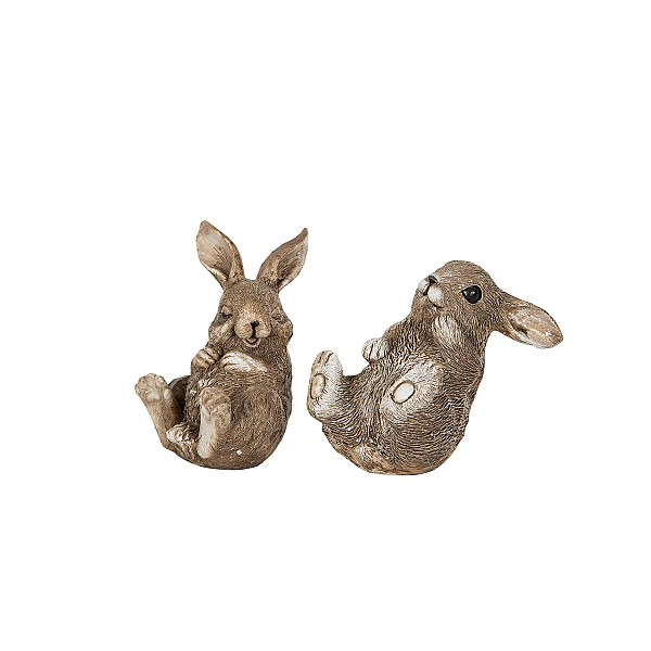 Ram Rabbit Baby