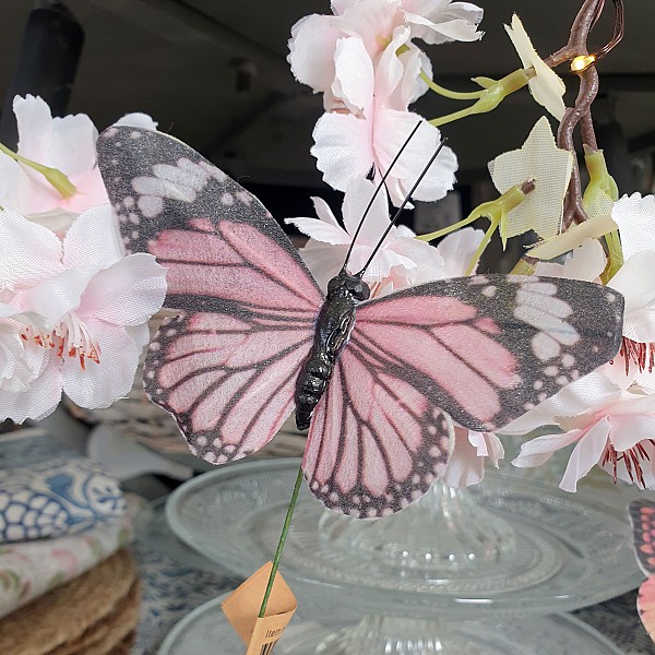 Schmetterling Stick Anna