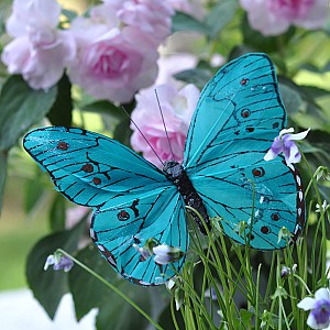 Fjäril Stick Oriental