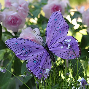 Fjäril Stick Oriental