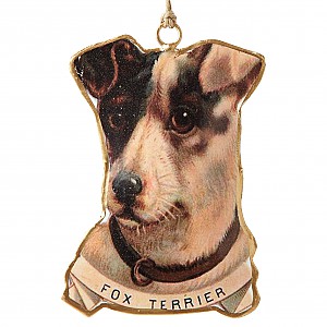 Hund Fox Terrier