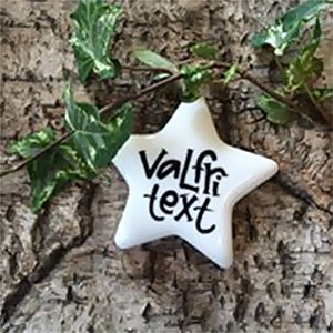 Porslinsstjärna Valfri text