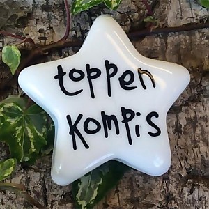 Porslinsstjärna Toppenkompis