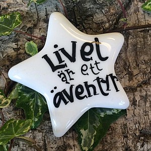 Porslinsstjärna Livet är ett äventyr