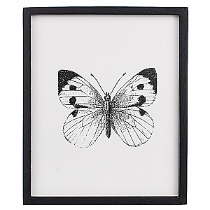 Tavla Insekt Fjäril