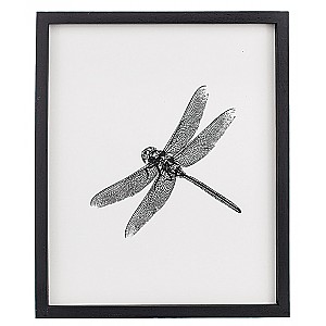 Tavla Insekt Trollslända