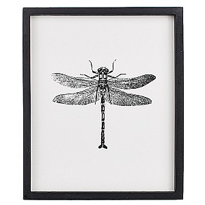 Tavla Insekt Trollslända