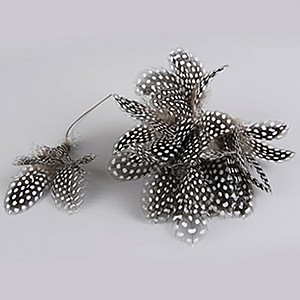 Påskfjädrar Pärlhöns