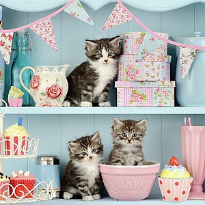 Servetter Cats in the kitchen