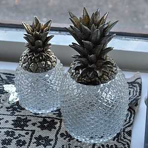 Ananas i glas med lock
