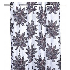 Öljettlängder Lönn