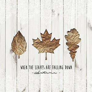 Servetter When Leaves Falling