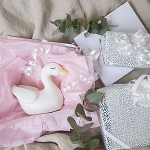 JaBaDaBaDo Nattlampa Svan